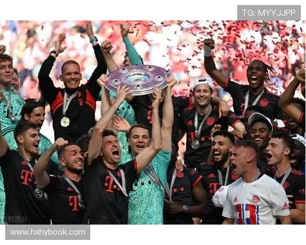 哪些球队才是真正的德甲冠军？历史数据详解